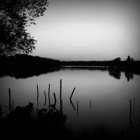 /album/pei-web-design/photolia-b01-jpg/
